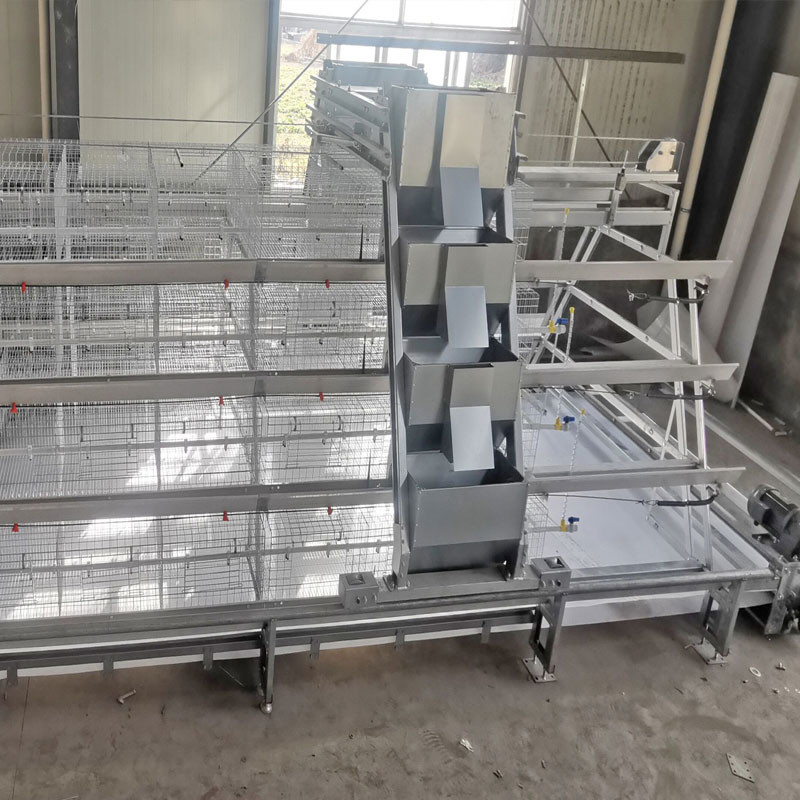 Broiler Chicken Farm Automatic Battery Cage System 13 Chicks/Cell