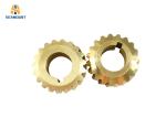 Customization Copper Worm Gear High Wear Resistant Bronze Worm Gear