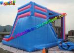 Giant Princess Combo Bouncer Slide PVC Tarpualin , Water - Proof Kids Bounce
