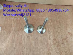 Wholesale sdlg inlet valve 4110000054096/12159606 for Weichai Deutz TD226B WP6G125E22, weichai engine parts for sale from china suppliers