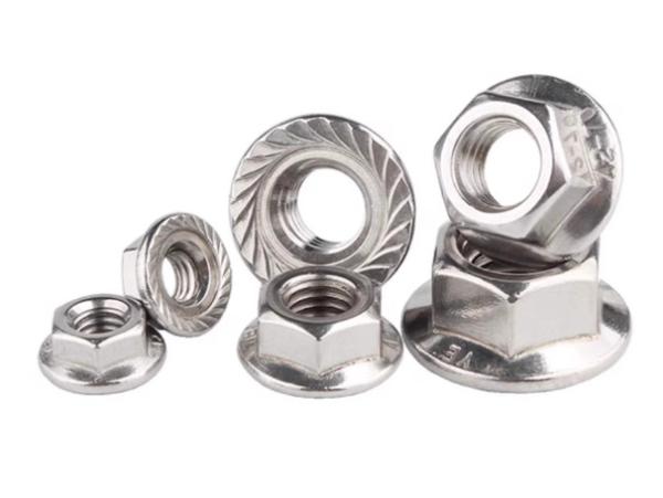 M10 M12 Stainless Steel Hex Flange Nut SS304 316 316L Polish Plain Finish