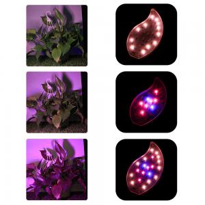 China DC 5V Tree Leaves Type USB Waterproof LED Grow Light with Timer for Vegetables Flowers and Indoor Potted Plants on sale