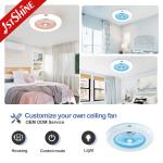 Copper Motor 220V Bedroom Ceiling Fan Light 24 Inch With Box Fan