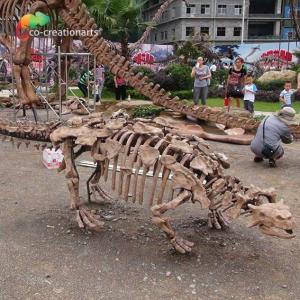 Wholesale Park Decoration Dinosaur Skeleton Replica Life Size Sunproof from china suppliers