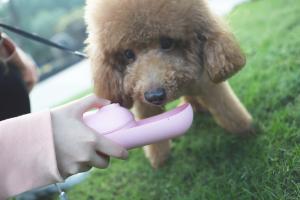 Wholesale Pink Foldable Dog Water Bottle Dispenser Small Dog Mini Portable pet Kettle from china suppliers