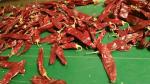 New Crop Premium Dried Guajillo Chili