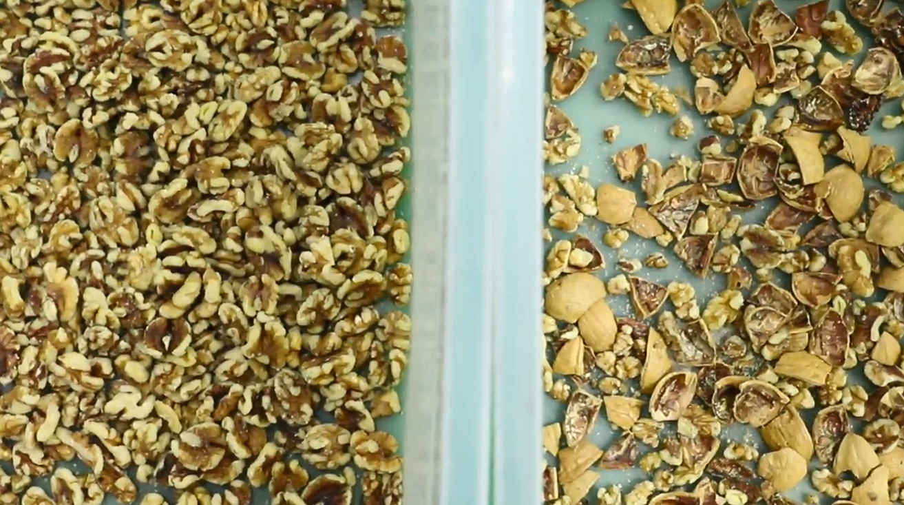 China Quality Supplier Complete Set Almond Color Sorter Machine For Food Plant