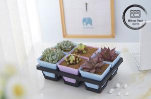 Wholesale Multi Size Plastic Seedling Trays 6, 12, 20, 24, 40 Cells Durable for Gardening from china suppliers