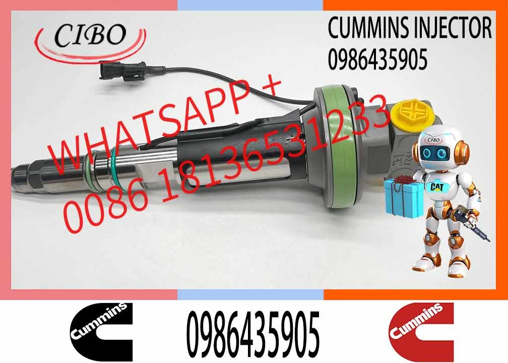Construction Machinery Parts Fuel Injector For QSK19 Diesel 01986435613 0986435902 0986435905 For CUMMINS Diesel Engine