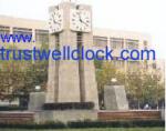 double side street clocks, city street clocks, Good Clock(Yantai) Trust-Well Co.