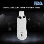 Electric Galvanic Ultrasonic Skin Cleanser Rechargeable