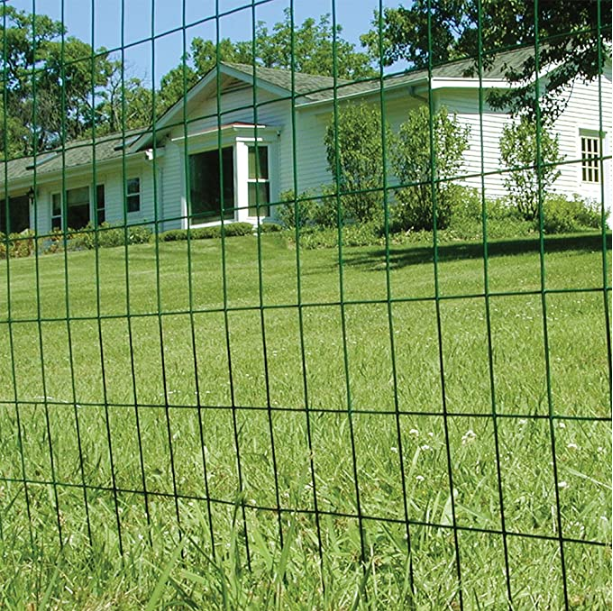 China Factory Direct Sale Pvc Coated Welded Wire Mesh
