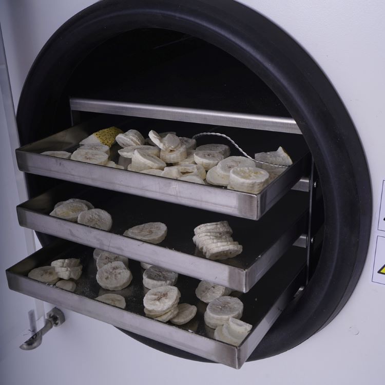 Automatic Cheap Price Freeze Dryer India Commercial