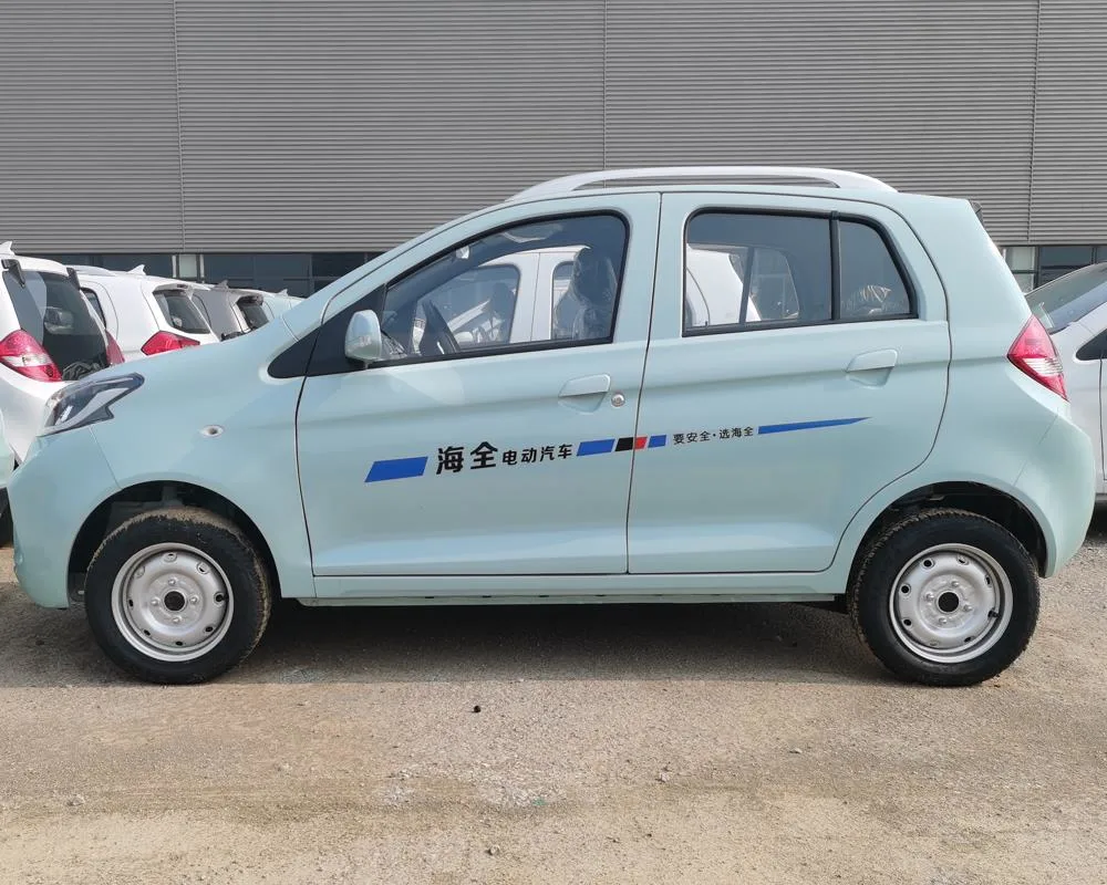 China Raysince Hot Sales Model Five Door New Energy Car Four Seat Smart Electric Car