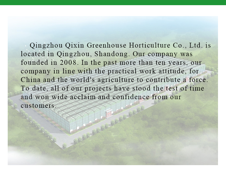 Multi-Span Agricultural Greenhouses Double Layer Vertical Hydroponic System Upgrade