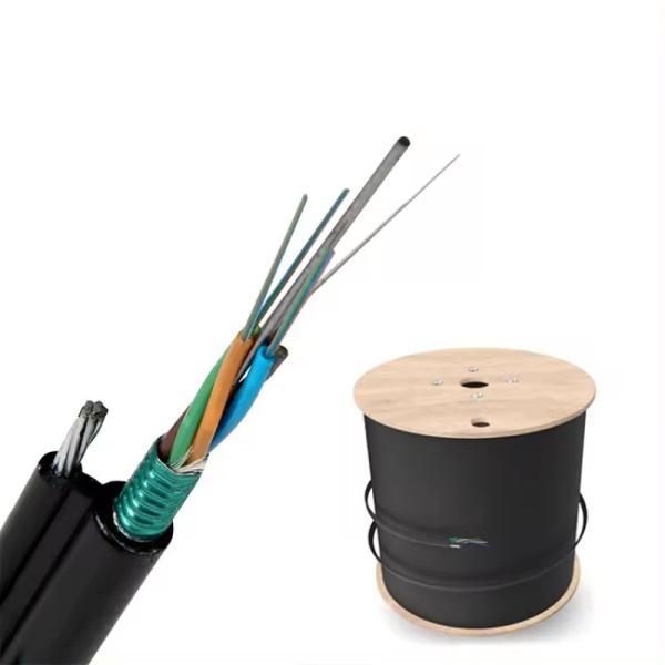 72 Core Outdoor Aerial Self Supporting Steel Wire Armored Optical Fiber GYTC8S