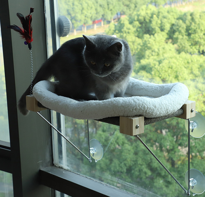 cat window perch