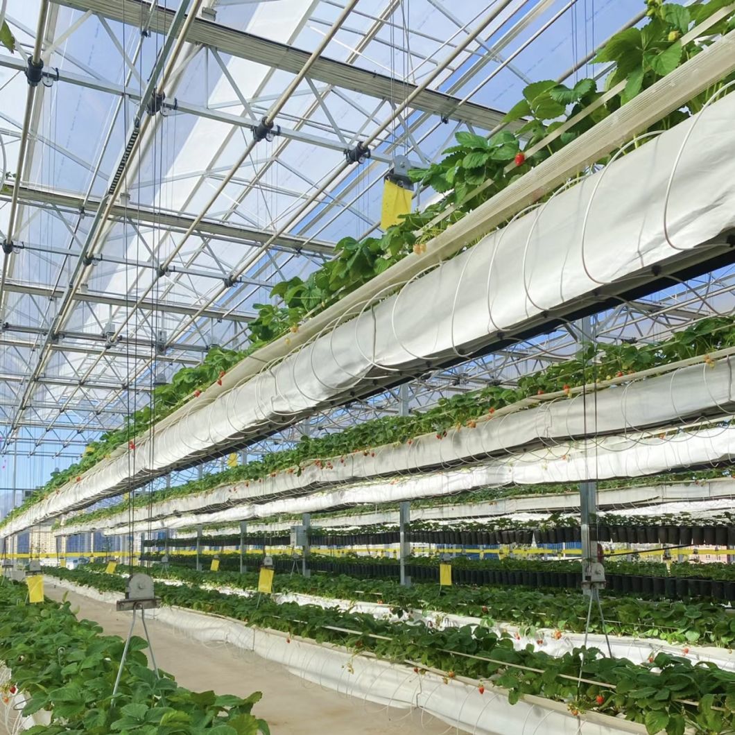 Reasonably Priced Glass Greenhouse with Flower System