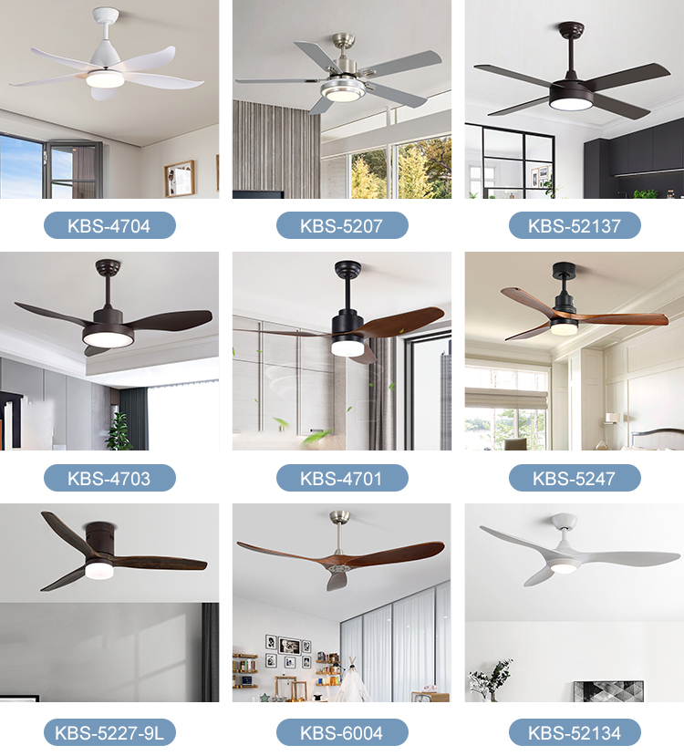 Fancy Iron 3000K 35W 5 ABS Blade Ceiling Fan Lamp Big Natural Style
