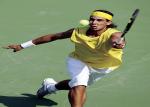 Professional Game Sports Green Artificial Grass For Tennis Courts