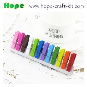Wholesale Various Size Mixed Colors Asslorted Colors Solid Wood Clothpins Clips Pegs with Animal Fruit Christmas 72 X 14mm from china suppliers