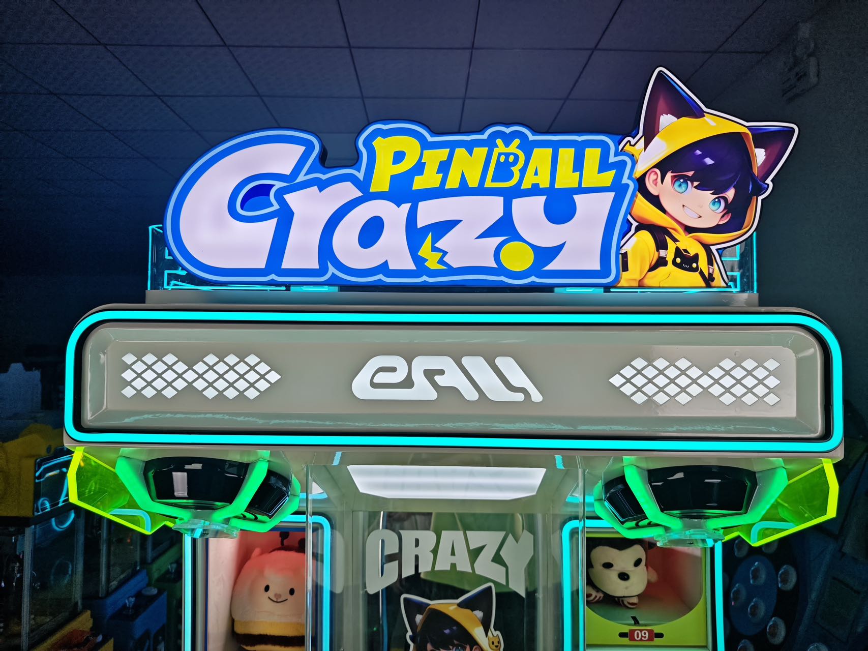 Stable Running Crazy Pinball Machine, High Playability for Indoor Playground Venue