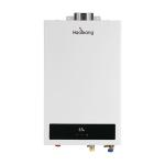 220V-240V/50Hz Energy Saving Balanced Flue Water Heater