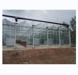 Wholesale Tempered Glass Covered Agricultural Greenhouse for Growing Vegetables in Holland Frame from china suppliers