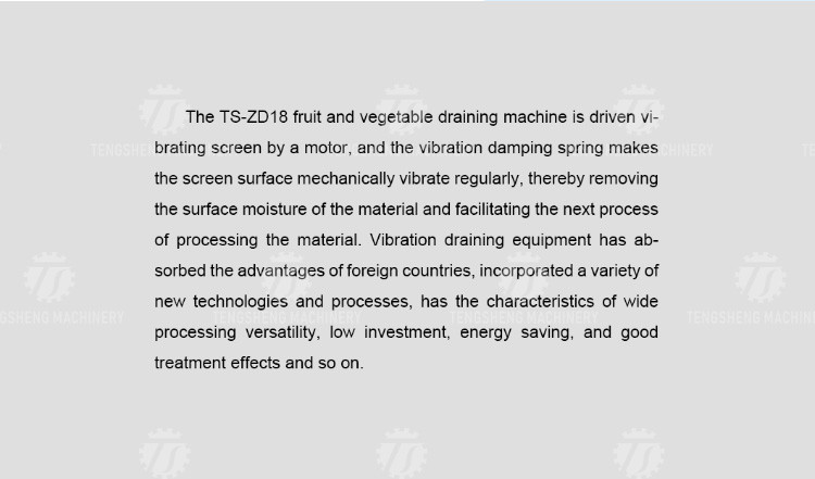 0.75KW 380V Commercial Vegetable Vibration Draining Machine