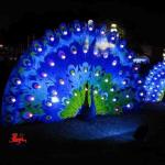 Party Chinese Festival Lantern Waterproof Traditional Chinese Lantern