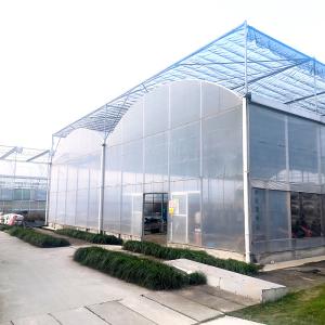 Wholesale Agriculture Plastic UV Film Poly Tunnel Multi-span Tomato Smart Greenhouse from china suppliers