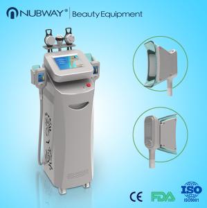 Wholesale hot sale HOT! cryolipolysis slimming fat freezing cryolipolysis slimming machine from china suppliers
