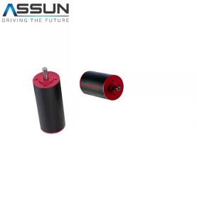 Wholesale Speed Driver 6000 Rpm Bldc Motor , Coreless 24v Brushless Motor from china suppliers