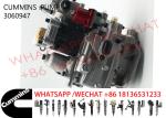 3060947 3202268 3279768 Cummins Diesel Fuel Pump