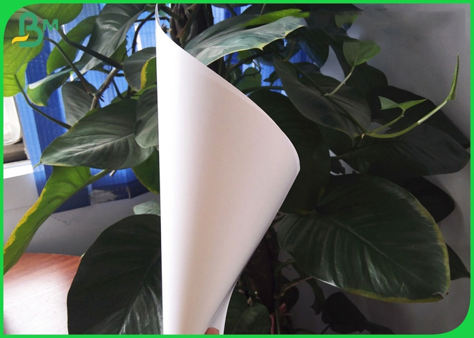 80gsm 90gsm High Gloss Art Paper For Advertisement Printing