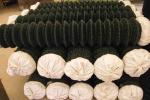 PVC Coated Chain Link Fence