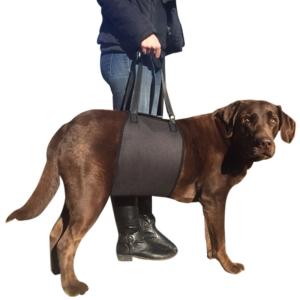 Wholesale Dog Canine K9 Sling Lift Adjustable Support Harness Pet Sling Lift Veterinarian Approved from china suppliers