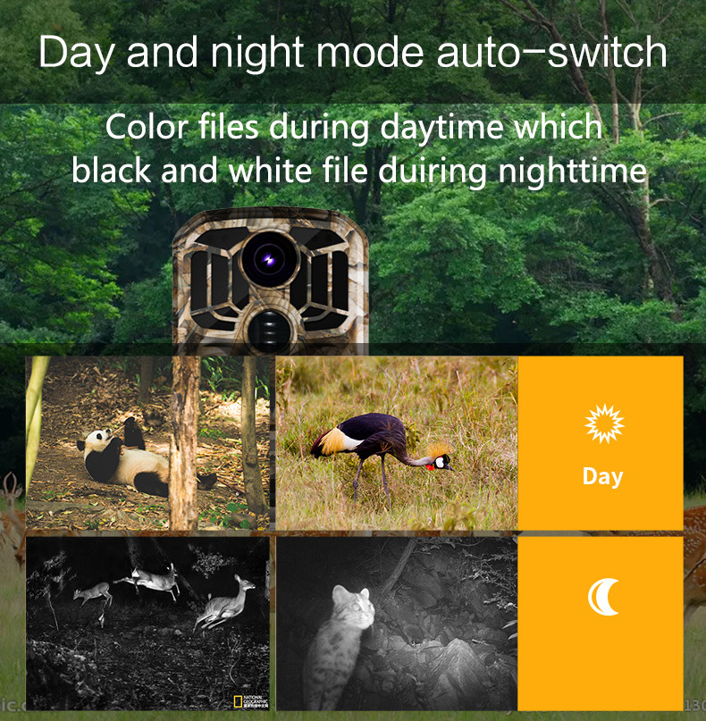 Outdoor Wirless Thermal Security Night Vision Hunting Camera 24MP 4k Wifi Trail Camera