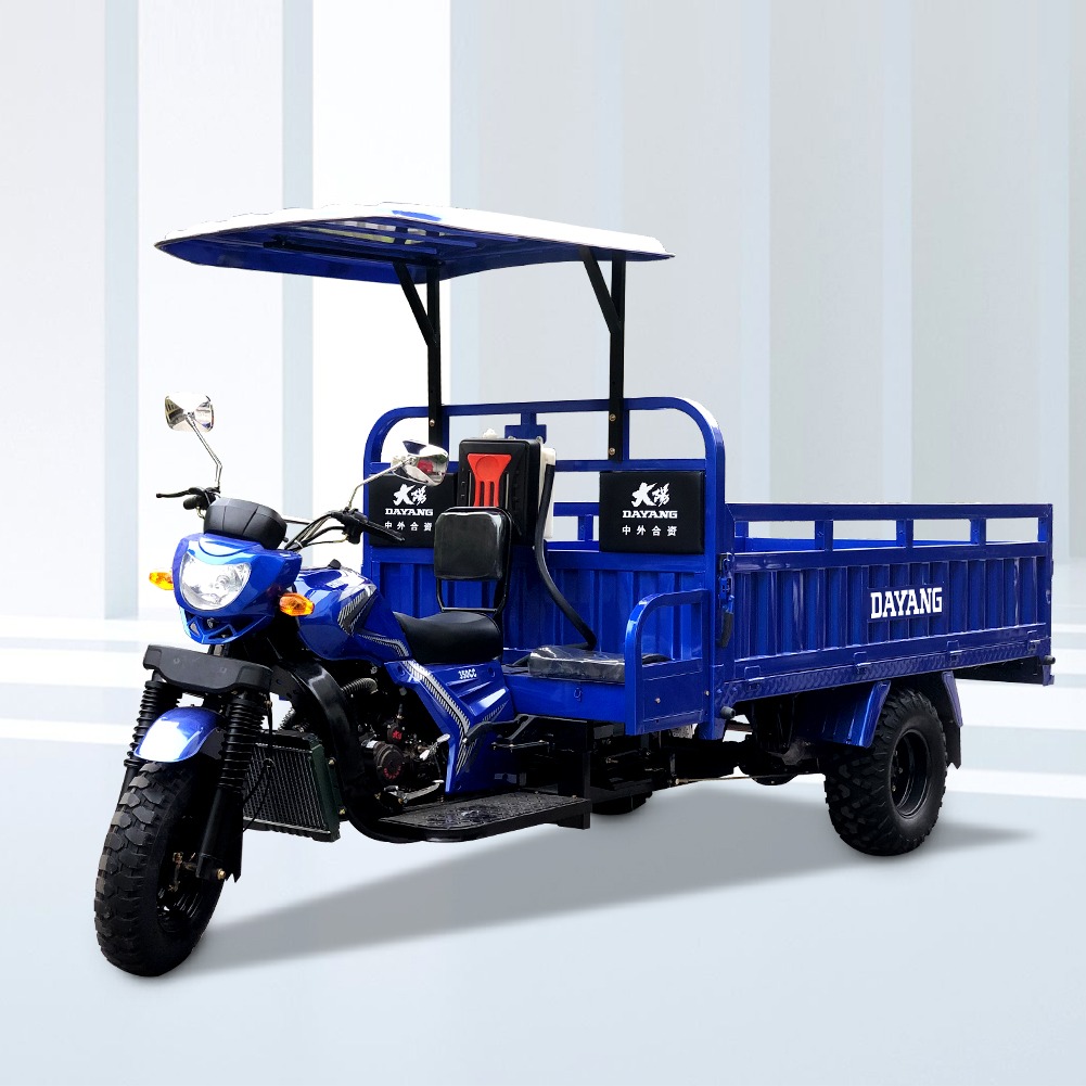 Adult Five Wheels Lifan Engine Tricycle with 801 W and 5 2 Rear Spring Leafs