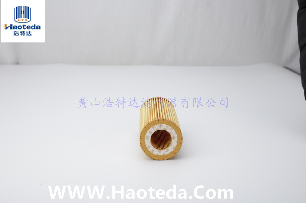 Lubrication Audi Volkswagen Auto Oil Filter OEM 06L115466 06K115466