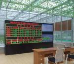 Commercial Greenhouse JX-h0075 Hydroponic Growing System for Vegetable