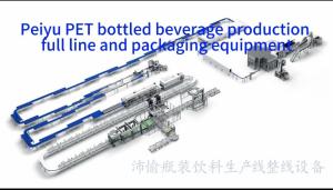Wholesale Peiyu PET Bottled Beverage Production Full Line And Packaging Equipments from china suppliers