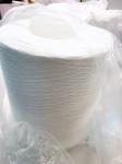 High Tenacity TFO 22S/2 22S/3 22S/4 Raw White Polyester Yarn