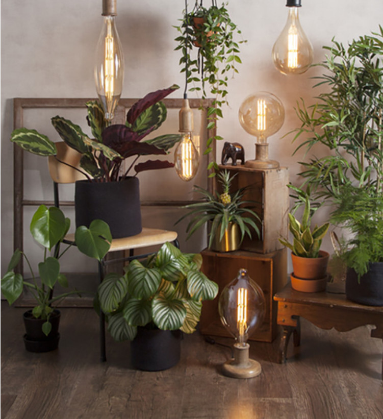 230V 8w LED Filament Bulb G200 10w Edison Light Bulb