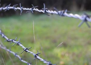 Wholesale Use Of Prison Walls Double Strand Reverse Twist Stainless Steel Barbed Wire from china suppliers
