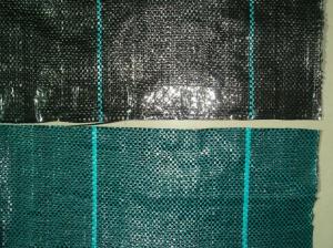 Wholesale Home Garden PE PP Woven Ground Cover Fabric / Weed mat , Black from china suppliers
