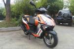 EEC DOT EPA PALADIN Ⅶ 50cc Gas 2-stroke 4-stroke single-cylinder air-cooled