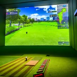 Wholesale New Indoor Business And Golf Club Training Center Popular Ar Golf Simulator from china suppliers