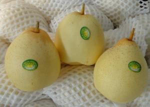 Wholesale 18kg Fresh Chinese Ya Pears Fruit from china suppliers