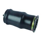 6393280101 6393280201 Rear Air Spring Suspension Parts For Mercedes Benz W639